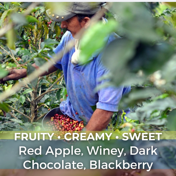 Colombia Finca Las Nubes Pink Bourbon